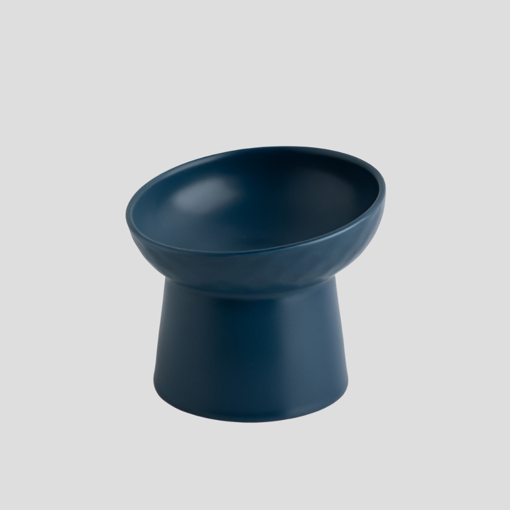 Healthy tilted pet feeder, a ceramic cat bowl designed for ergonomic and clean eating, prevents strain.