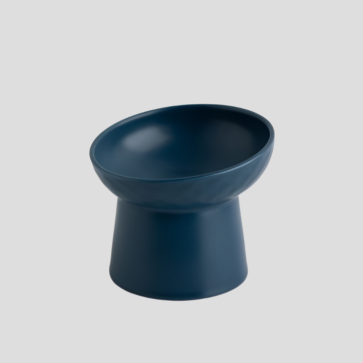 Healthy tilted pet feeder, a ceramic cat bowl designed for ergonomic and clean eating, prevents strain.