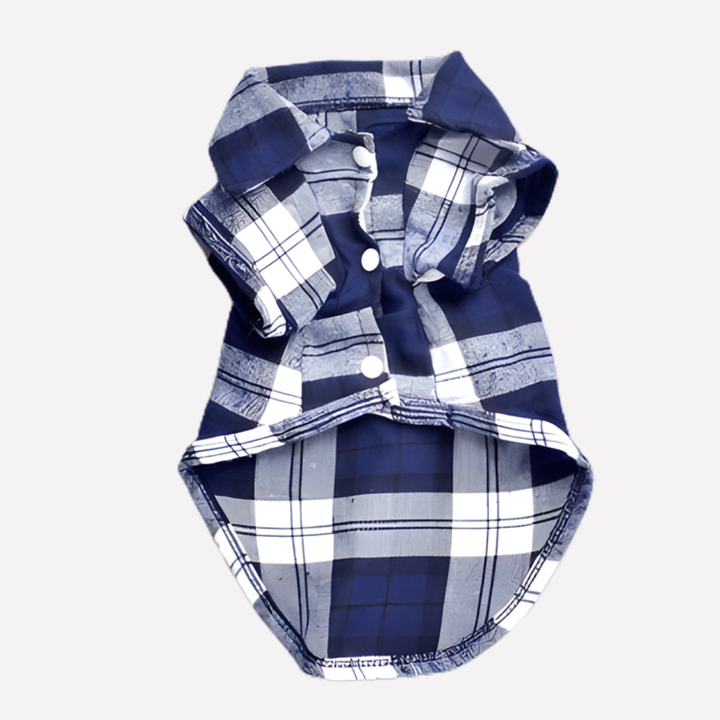 Medium dog showcasing a classic blue plaid dog shirt, comfortable pet clothing for stylish pups & animal accessories.