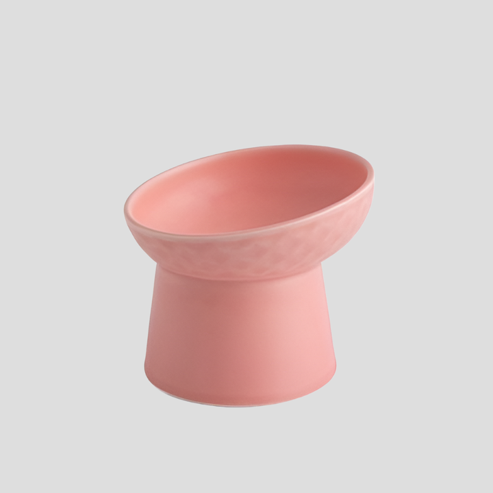 Premium ceramic tilted cat bowl with neck protection, a sleek Nordic design pet feeder for healthy eating.