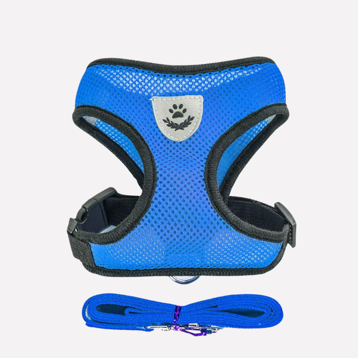 Durable pet harness & leash walking set, perfect for outdoor dog adventures.
