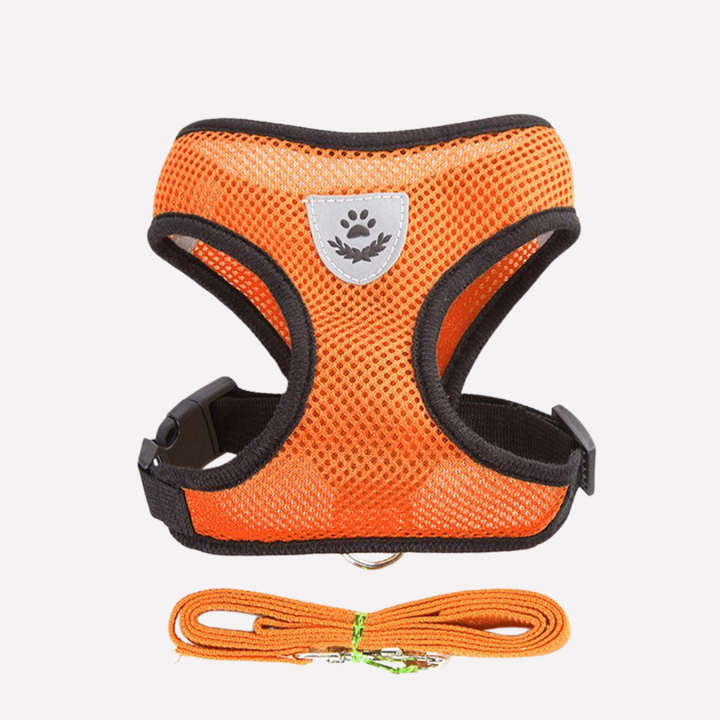 Soft mesh dog harness and leash for small pets, ensuring comfort & security.