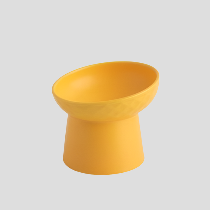 Elevated ceramic cat bowl, ergonomic design for healthy digestion. Tilted pet feeder for comfortable meals.
