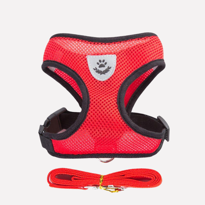 Lightweight adjustable puppy gear: breathable mesh vest harness with leash.