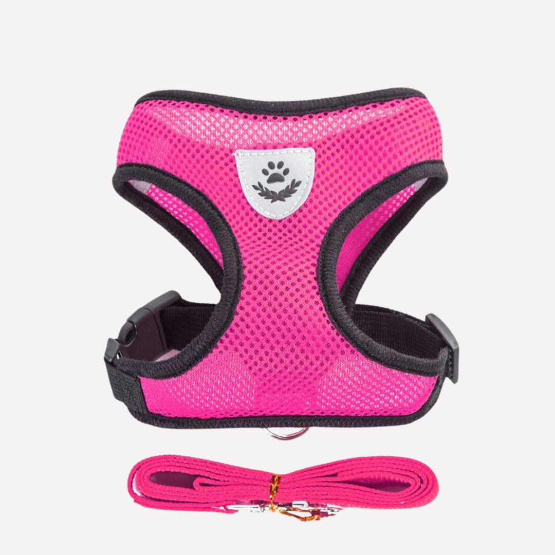Pet accessories: comfort mesh dog harness and leash set for small dogs.