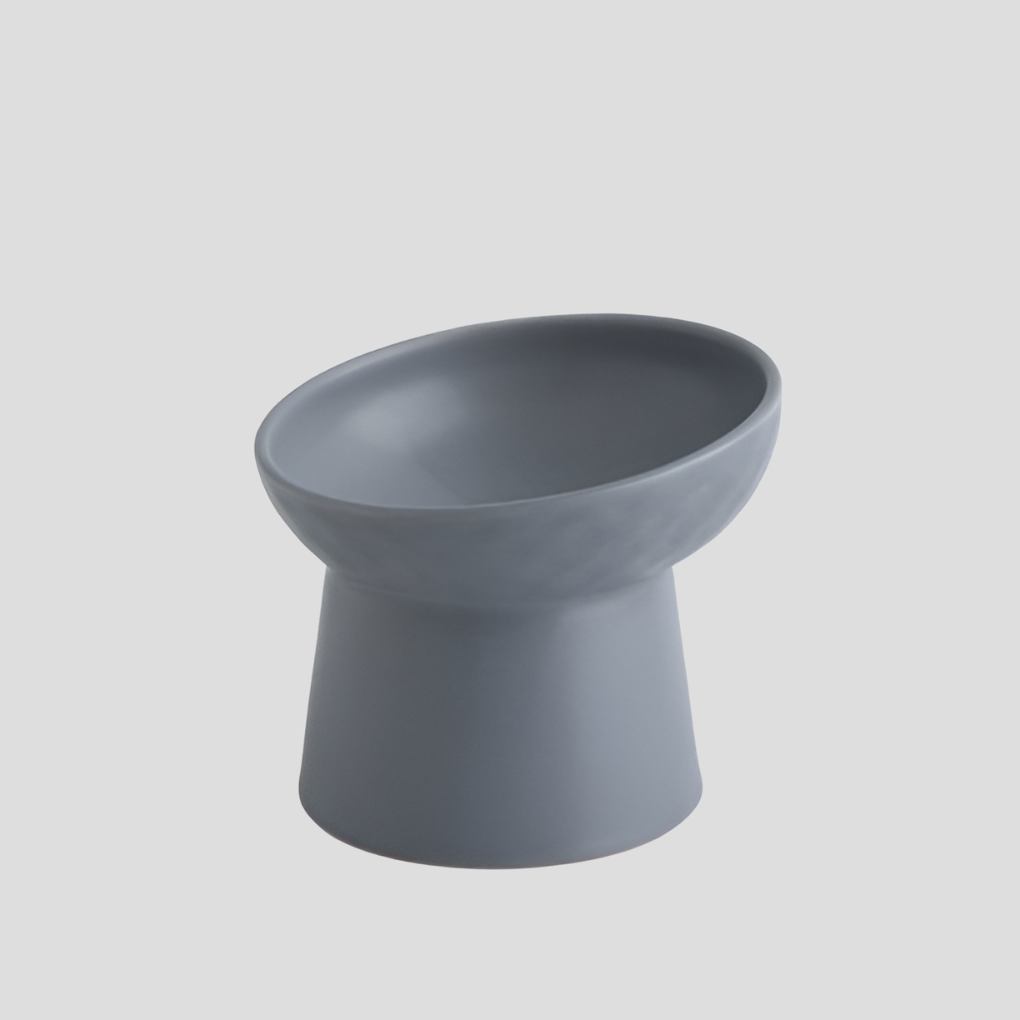 Modern ergonomic ceramic tilted bowl, essential pet supplies for healthy digestion & feline comfort.