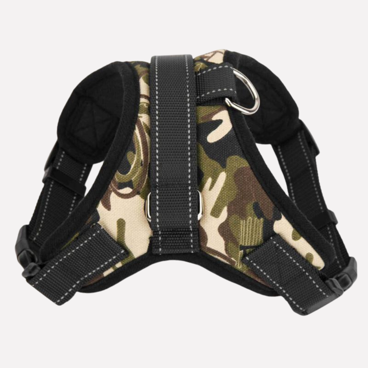 Stylish black adjustable dog harness & lead set, designed for pet comfort during outdoor dog walking & training.