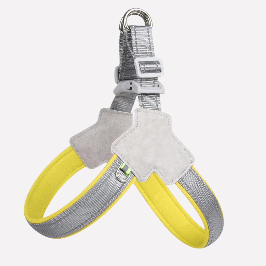 Lightweight, breathable no-pull dog harness for stress-free walks & effective training sessions. Secure pet control.