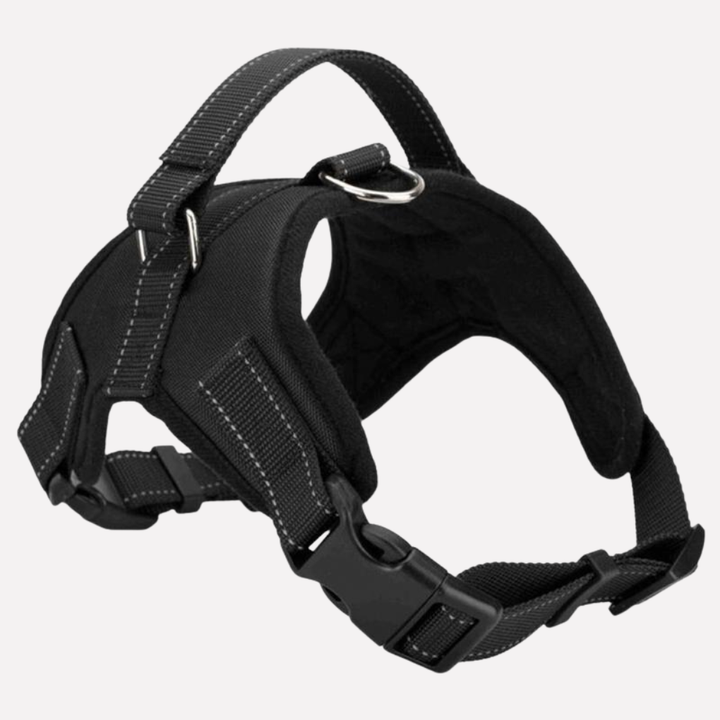 Soft-padded comfort dog harness & durable pet leash for comfortable, secure dog walking. Essential dog accessories.