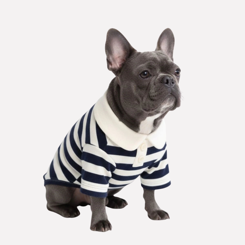 Adorable striped polo dog shirt, pet clothing for puppies & classic dogs. Adjustable pet fashion.