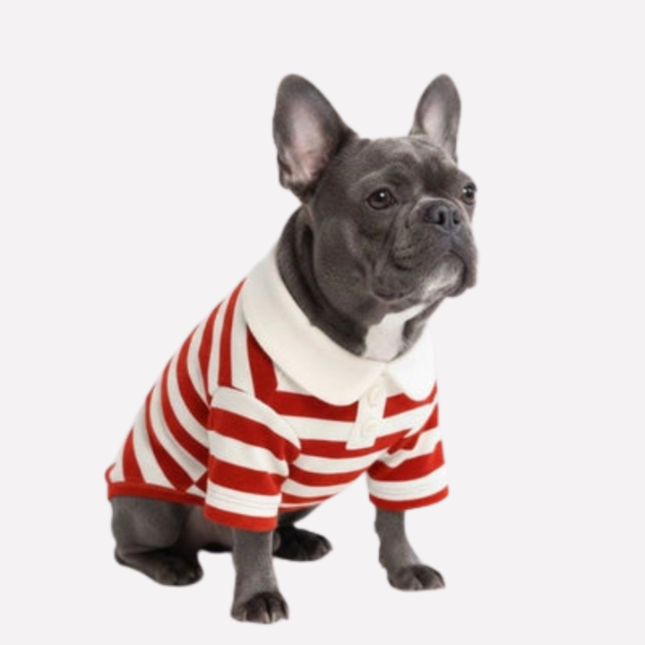Classic striped polo dog shirt, comfortable dog clothing for active dogs. Pet apparel for all sizes.
