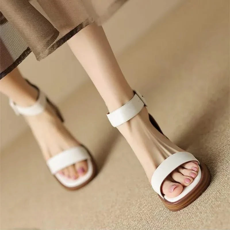 Brown women's elegant strap block heels. Comfortable dress sandals with an anklestrap, versatile footwear.