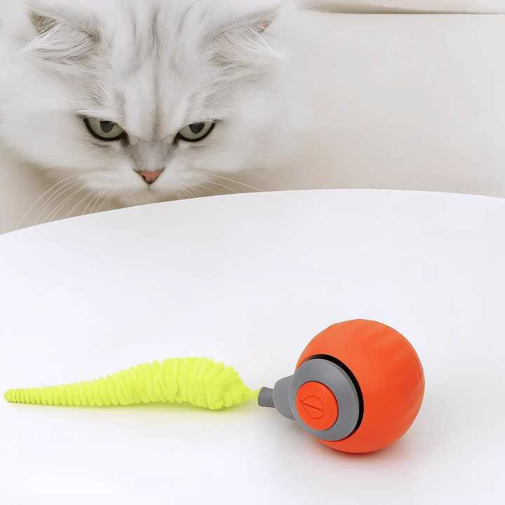 Rechargeable smart cat toy: an automatic rolling ball for interactive feline play, enriching indoor cat entertainment.