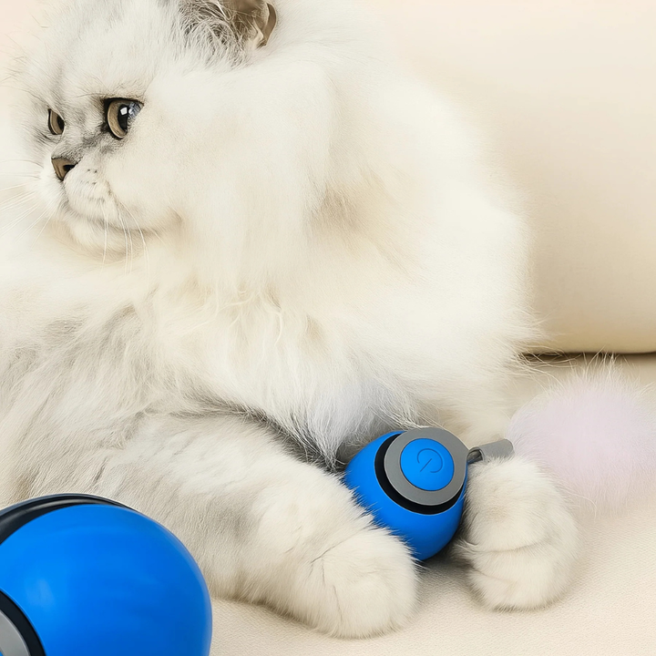 Playful indoor cat chases a smart interactive rolling ball toy, providing automatic pet entertainment & exercise.