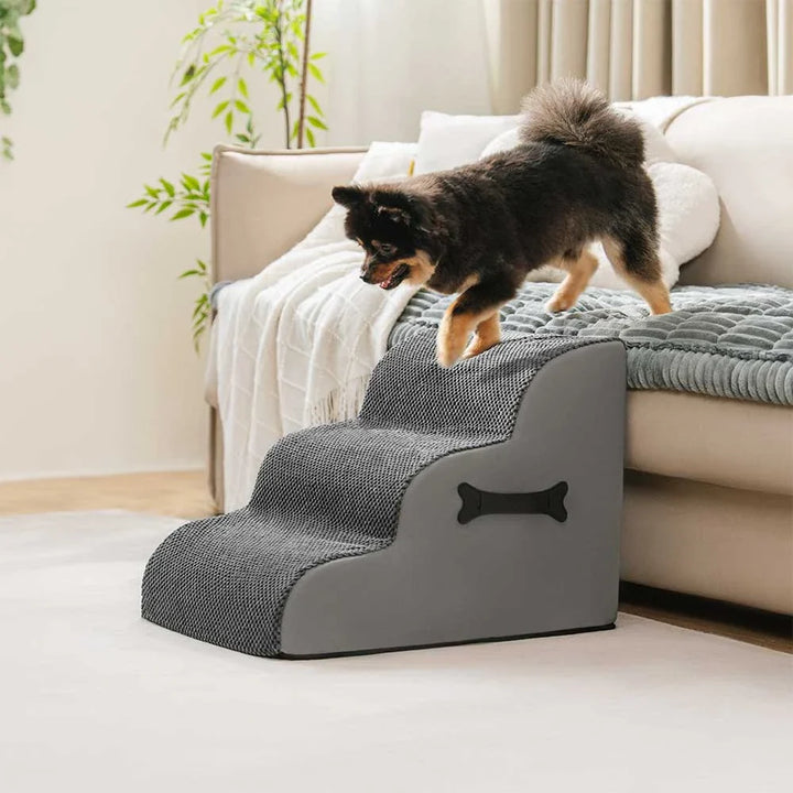 Small senior dog easily climbing gentle ramp of adjustable pet stairs, joint support