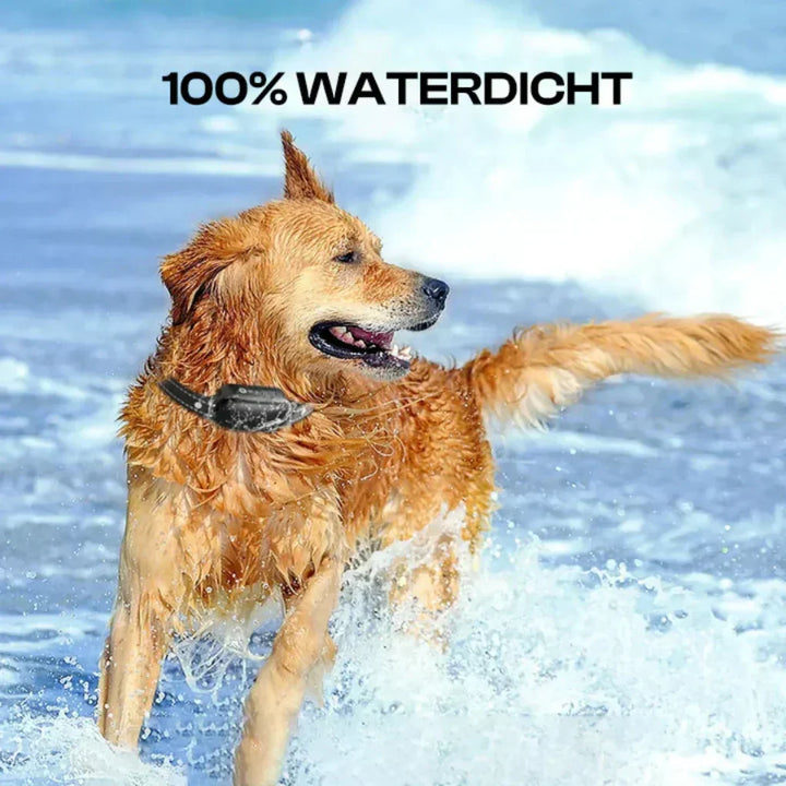 New3 dog training collar with remote control kit, adjustable & waterproof, perfect for all breed obedience training.