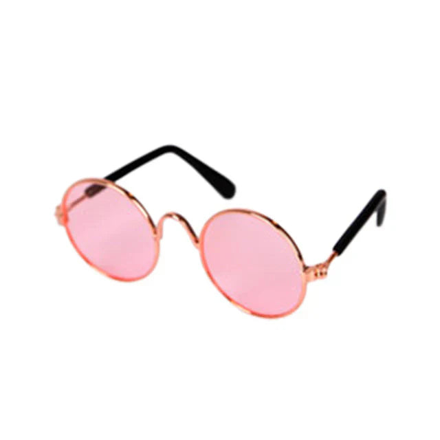 Toy poodle in chic round pet eye-wear, showcasing a pampered pet look.