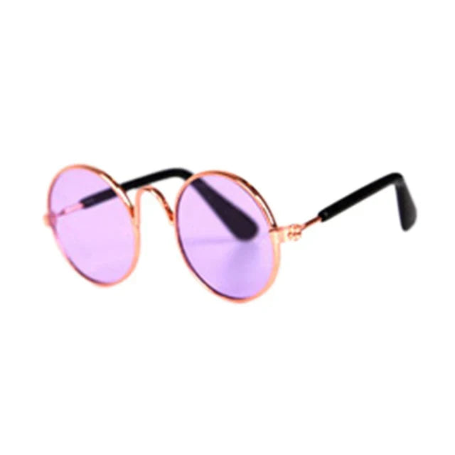 Pet round eye-wear presented in a gift box, an ideal present for pet lovers.