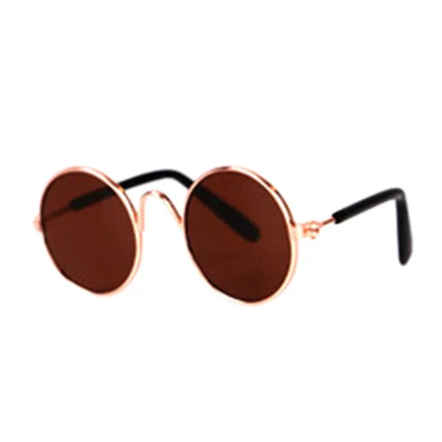 Happy pet wearing round eye-wear, enjoying outdoor activities with stylish protection.