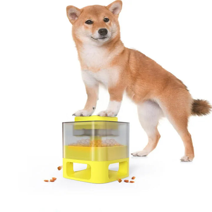Programmable pet feeder for dogs & cats, consistent feeding, pet supply, grey finish