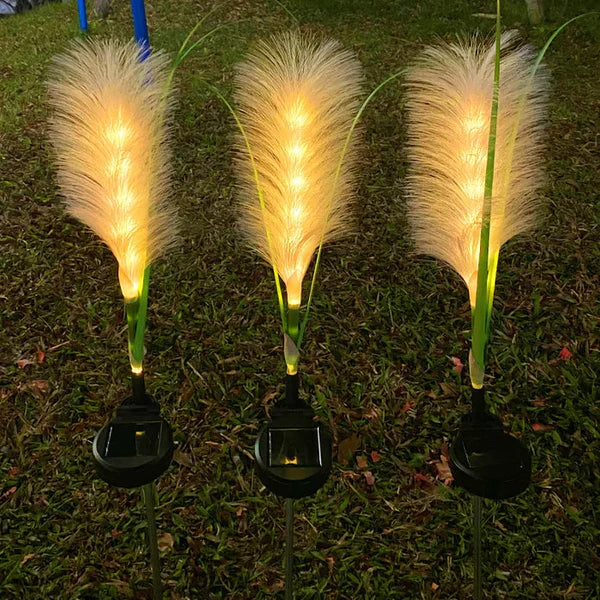 Warm glow from Reed Garden Lights, ideal for creating inviting outdoor ambiance and garden decor.