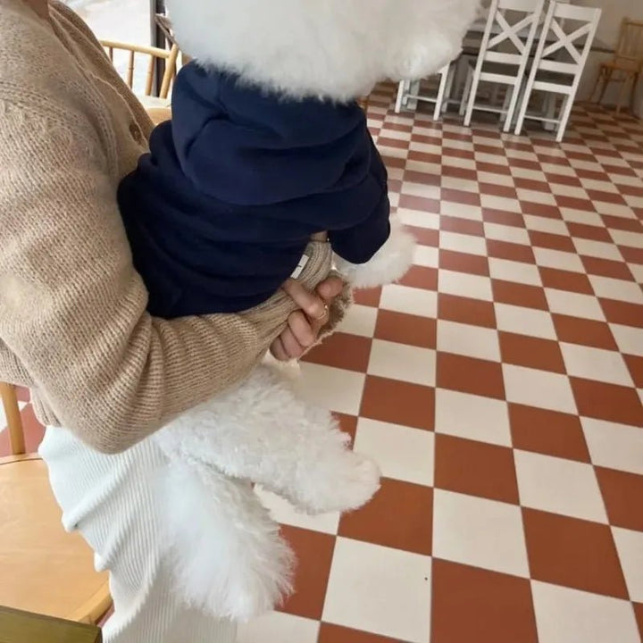 Dog hoodie: a fashionable and warm pet sweater, essential for winter apparel and coziness.