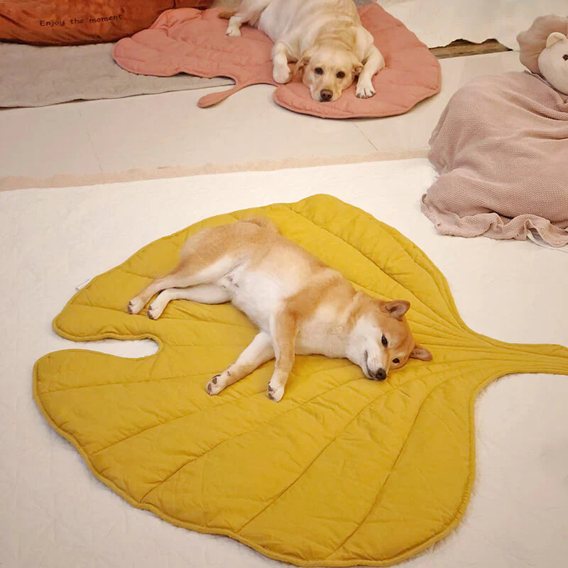 Machine washable leaf design pet blanket, ultra-soft dog bed and cat mat for lasting comfort.