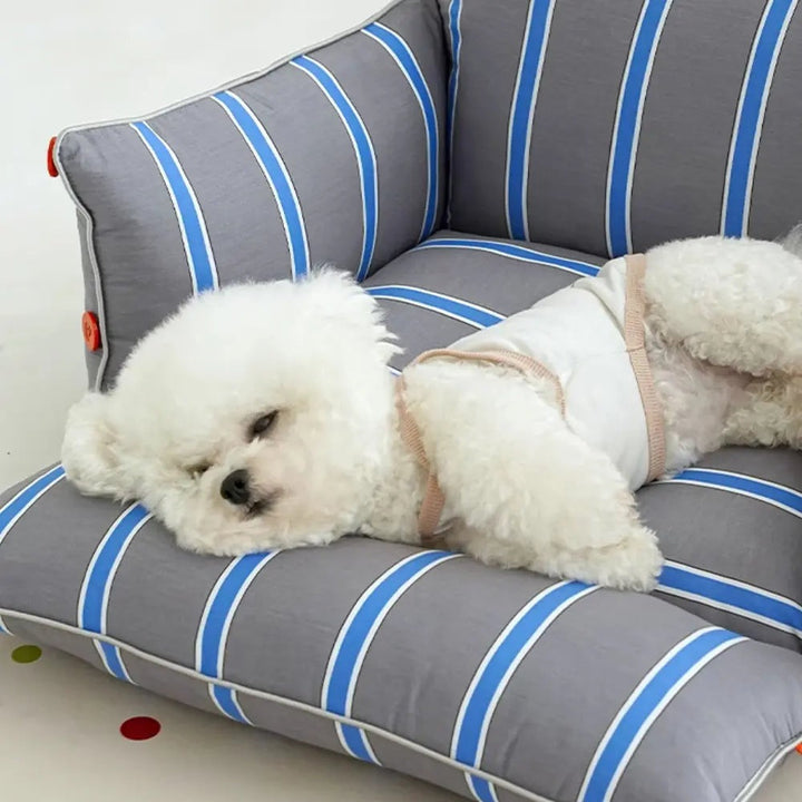 Comfortable raised pet sofa bed, a cozy washable dog furniture piece for small to medium size dogs.