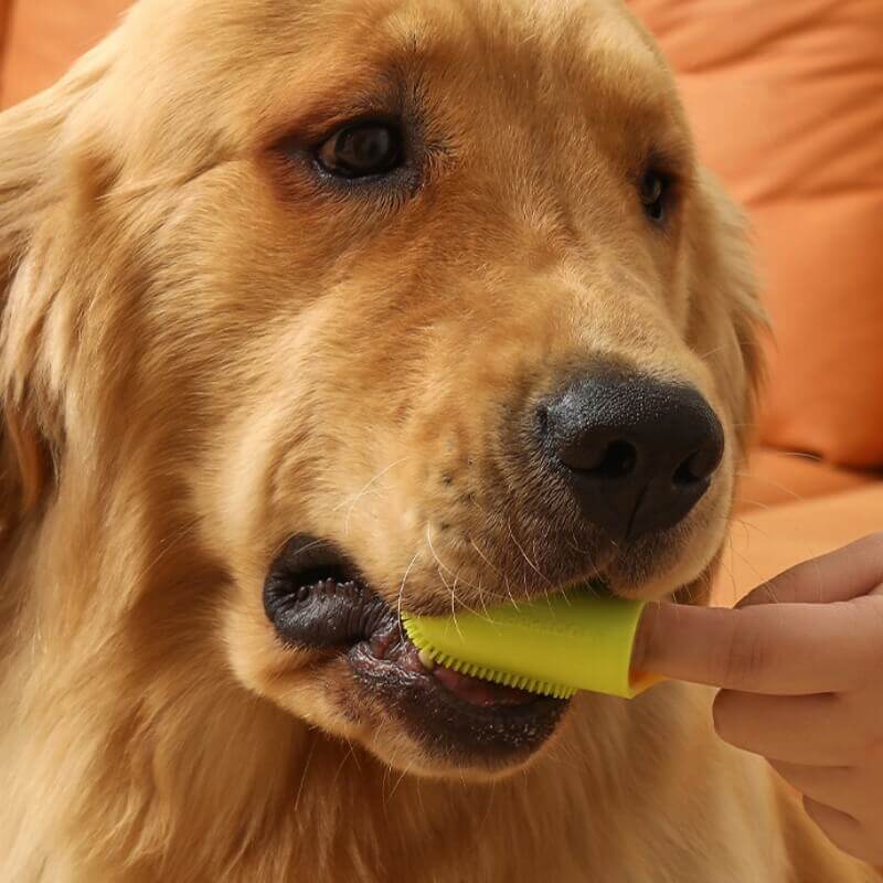 Ergonomically designed finger toothbrush, perfect for pet grooming and dog & cat teeth cleaning