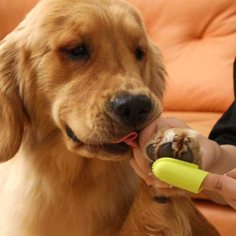 Dog & cat finger toothbrush, a key pet supply for maintaining fresh breath and clean teeth
