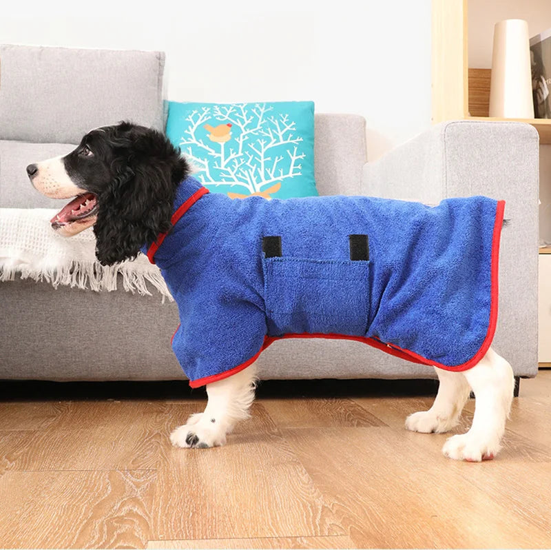 Close-up of golden retriever wearing an absorbent microfiber dog bathrobe