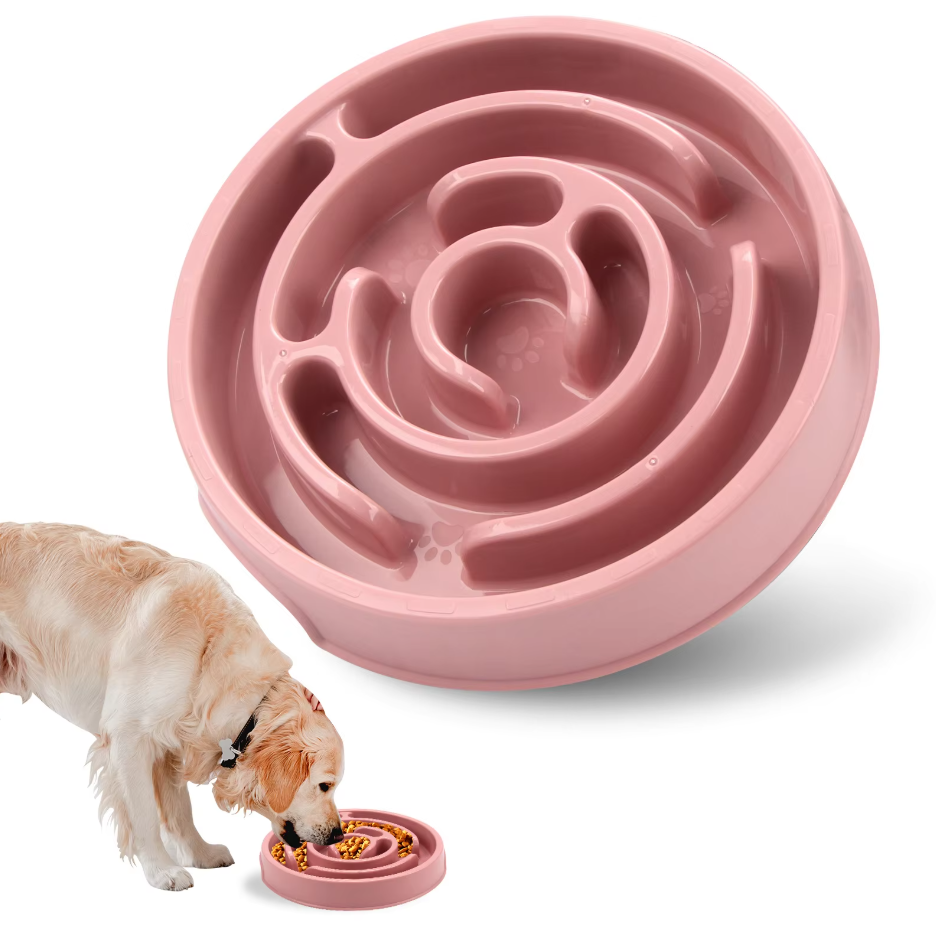 Durable slow feeder bowl for dogs, an effective feeding solution for improved digestion.
