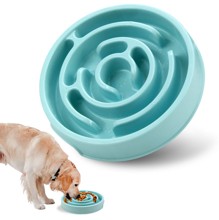 Top-down view of a dog slow feeder bowl, enhancing pet health and preventing gulping.