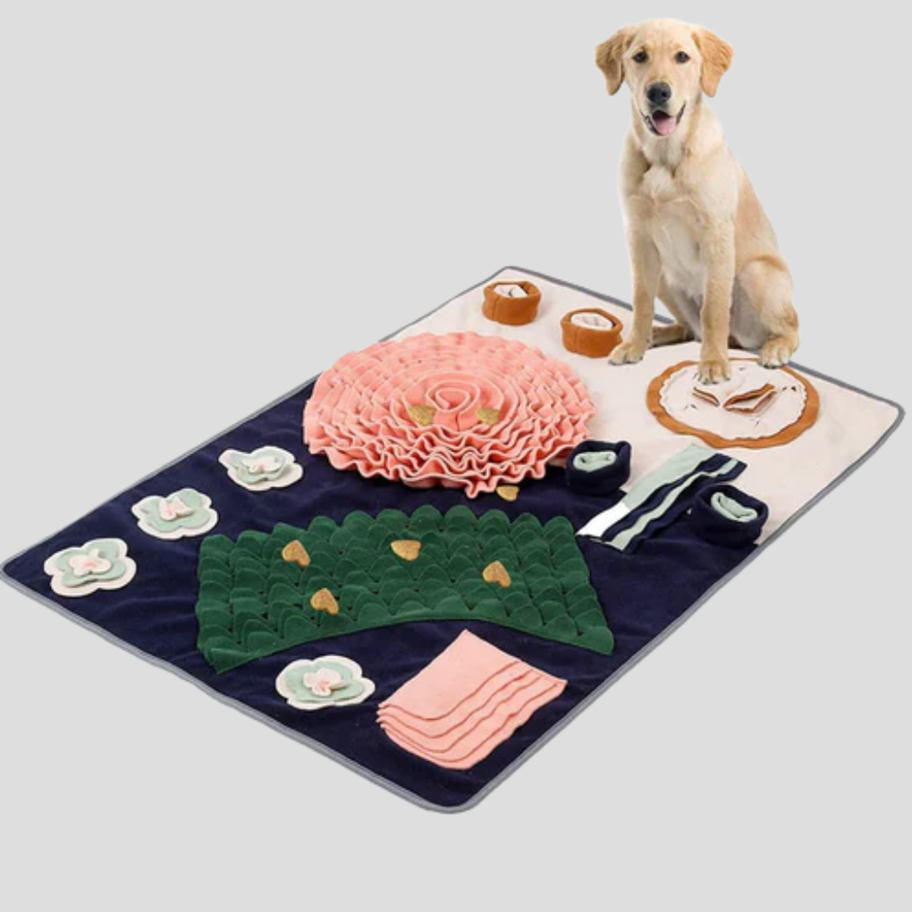 Interactive dog snuffle mat toy, a slow feeder for pet mental enrichment