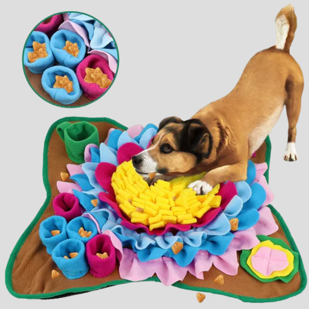 Dog snuffling for treats in a colorful pet snuffle mat for slow feeding and mental stimulation.