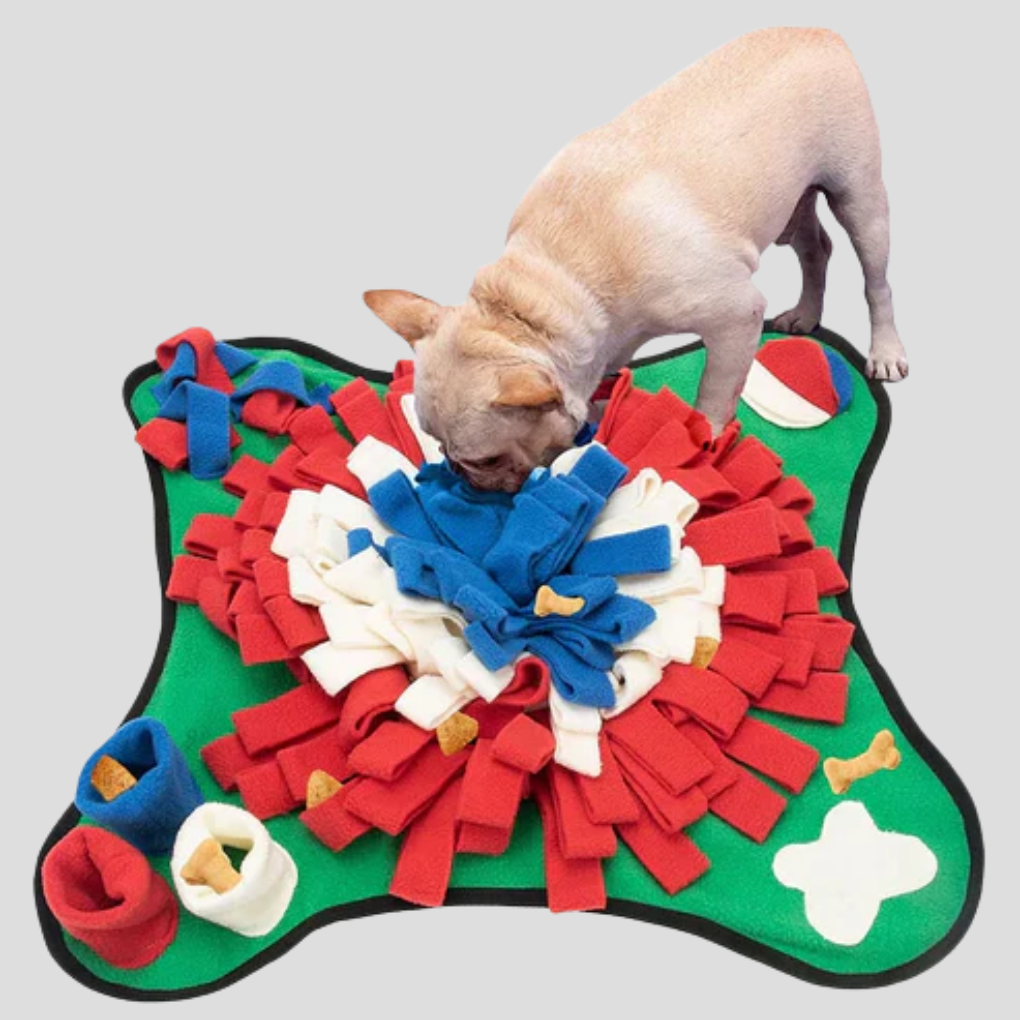 Overhead view of a New4 snuffle mat designed as a slow feeder puzzle for dogs, stimulating minds.