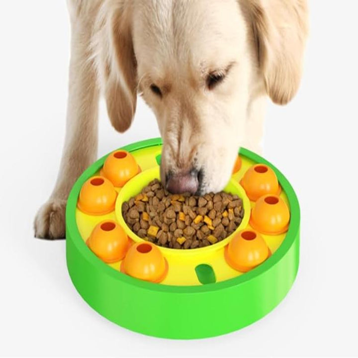 Close-up of an interactive dog puzzle feeder, designed for slow feeding and mental enrichment.