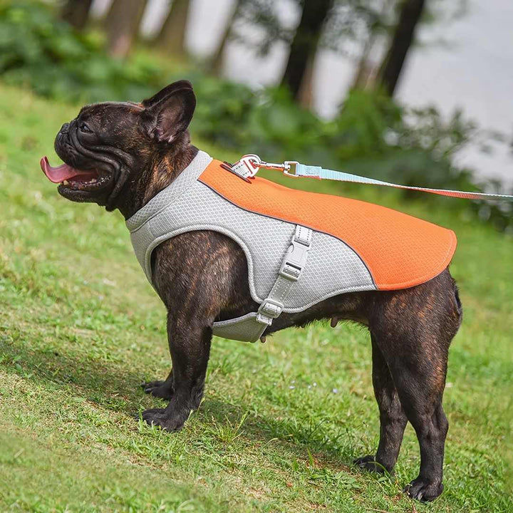 Side view of a dog in a lightweight, breathable cooling vest, ideal for summer pet safety