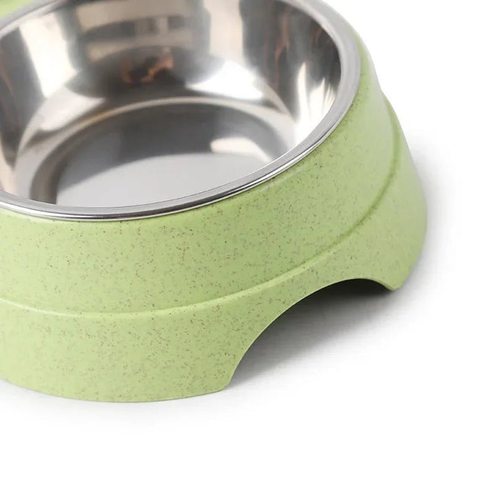 Dual pet feeding station: non-slip stainless steel bowls for dog or cat food and water.