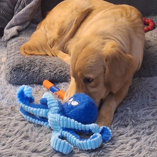 Close-up of a tough purple octopus plush dog toy, reinforced stitching for aggressive chewers