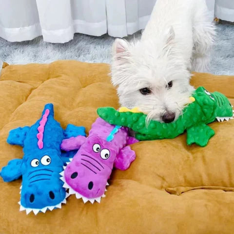 Close-up of textured durable crocodile dog toy, plush and squeaky for strong chewers.