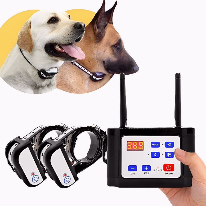 Active dog running outdoors wearing red durable paw protectors, protecting paw pads during vigorous play.