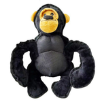 Chimpanzee