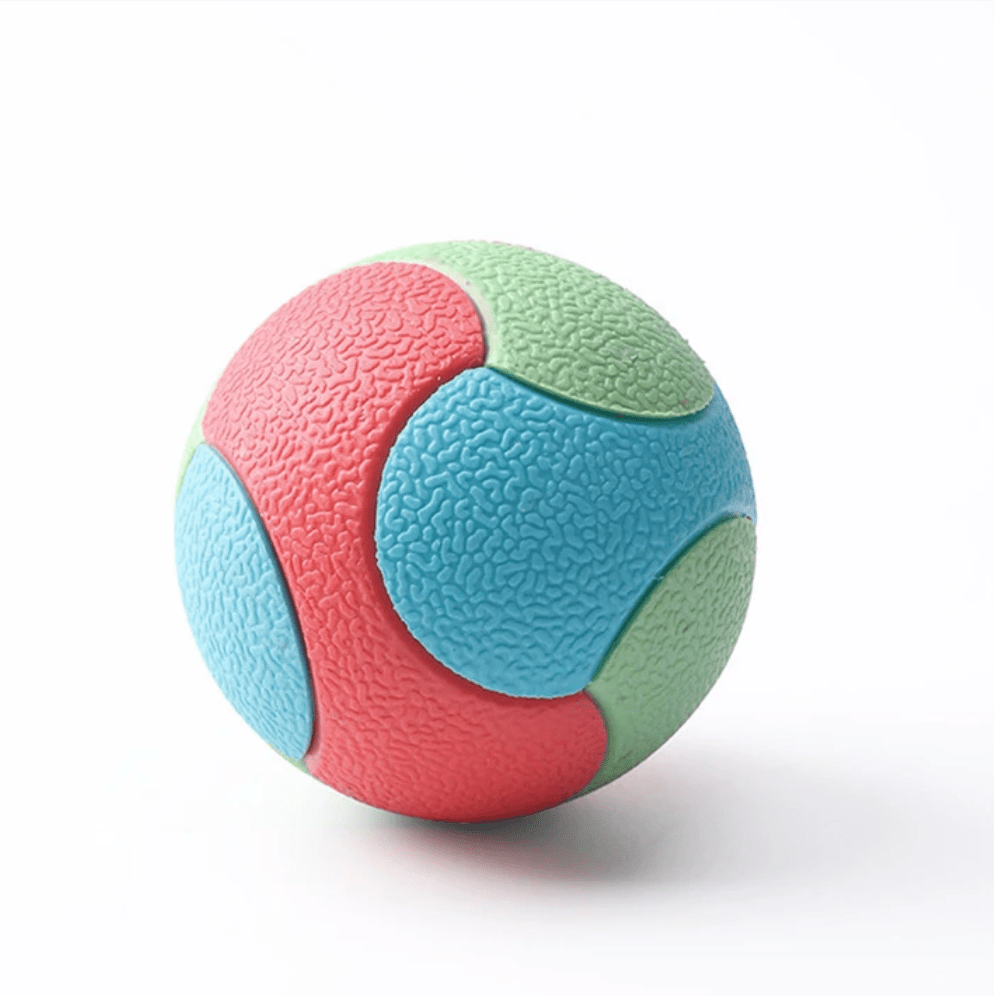 Dog happily playing with a blue durable rubber bouncy ball, promoting dental health
