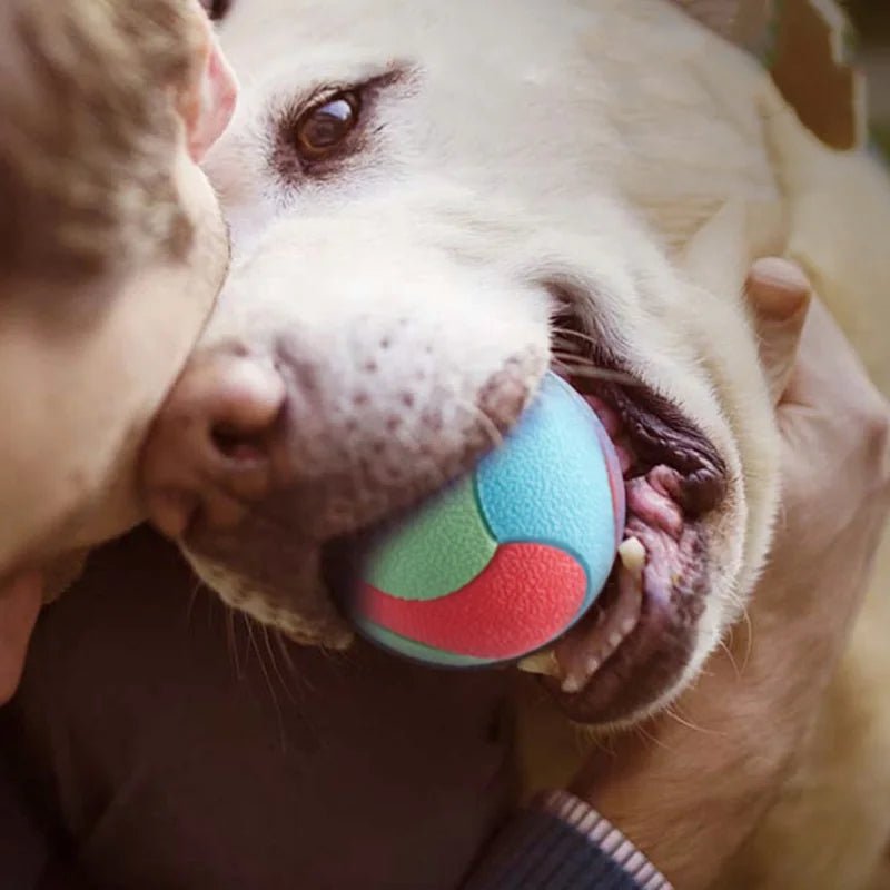 Durable red rubber chew ball dog toy with textured surface, perfect for interactive play and teeth cleaning.
