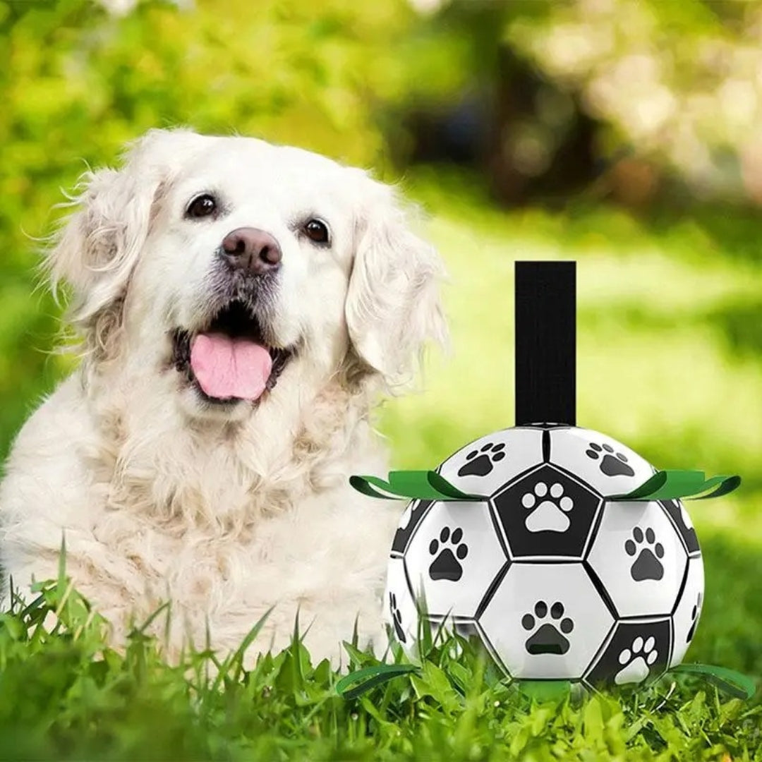 Vibrant, durable rubber dog ball, ideal chew toy for active large and medium breed canines.