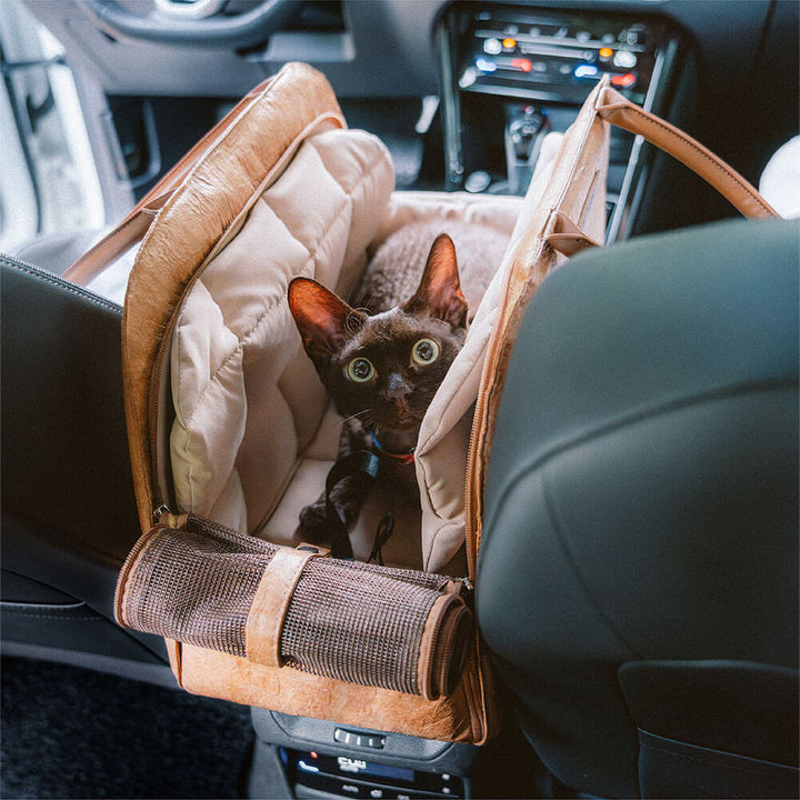 Sustainable pet carrier, lightweight and foldable for easy storage, includes luggage strap