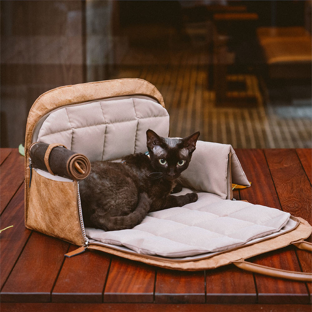 Sustainable dog carrier and cat carrier in eco-conscious design