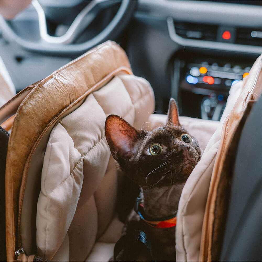 Eco-friendly pet carrier, ideal for vet visits and daily outings, dog/cat
