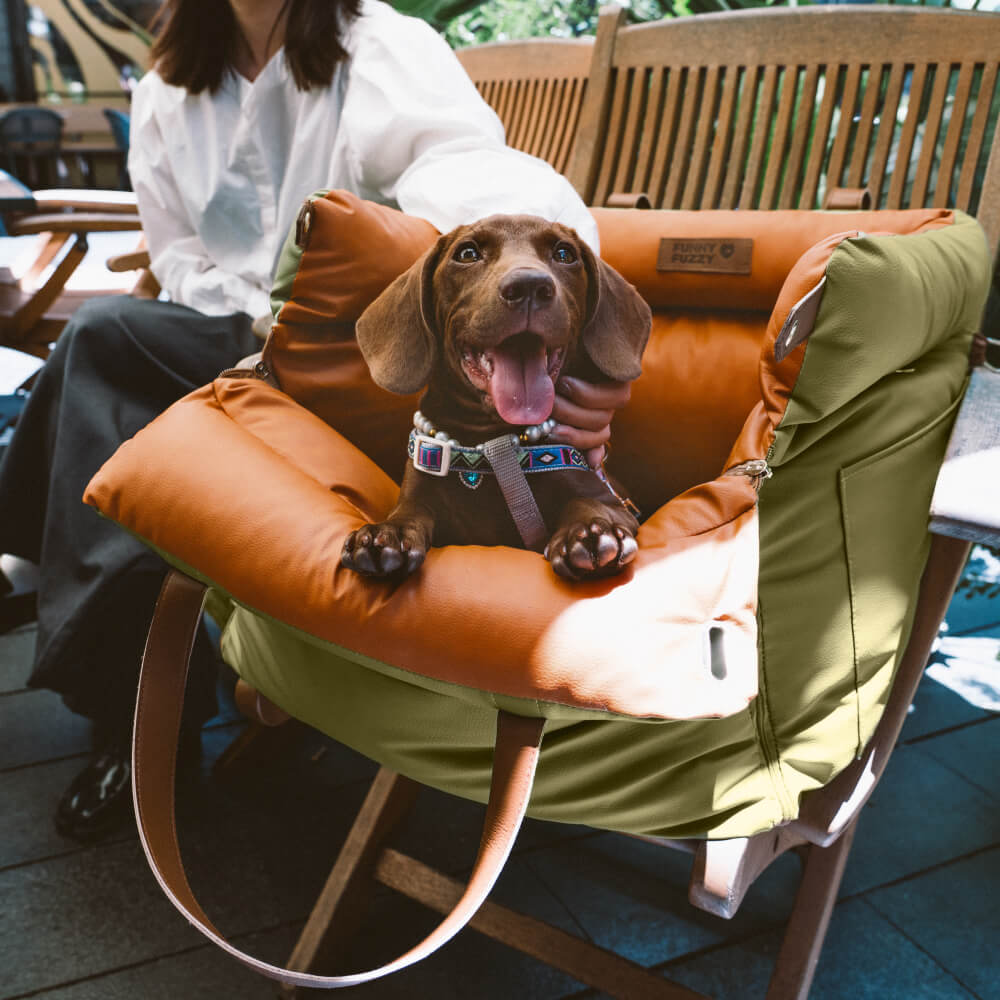 Dog car seat with elevated design, ensuring comfortable and secure travel for small pets